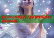 糖心vlog小桃酱个人资料揭秘精彩内容轻松掌握