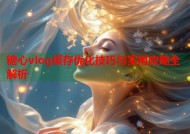 糖心vlog缓存优化技巧与实用攻略全解析
