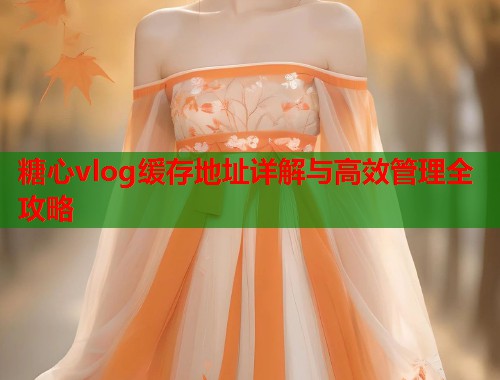 糖心vlog缓存地址详解与高效管理全攻略  第1张